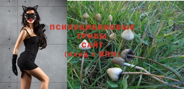 хмурый Елизово