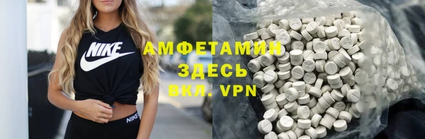 мет Елабуга