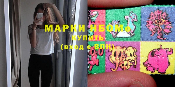 хмурый Елизово