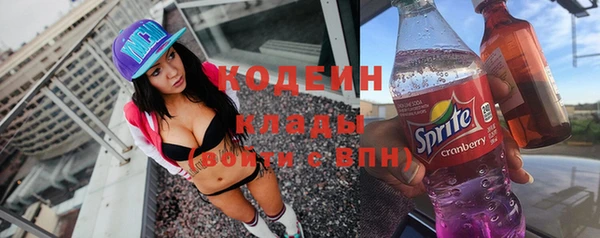 мет Елабуга