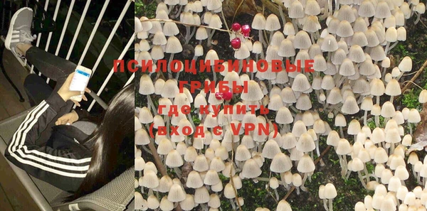 хмурый Елизово