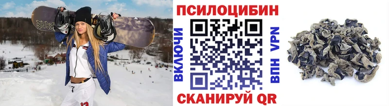 Купить где  Долинск  Галлюциногенные грибы Magic Shrooms 